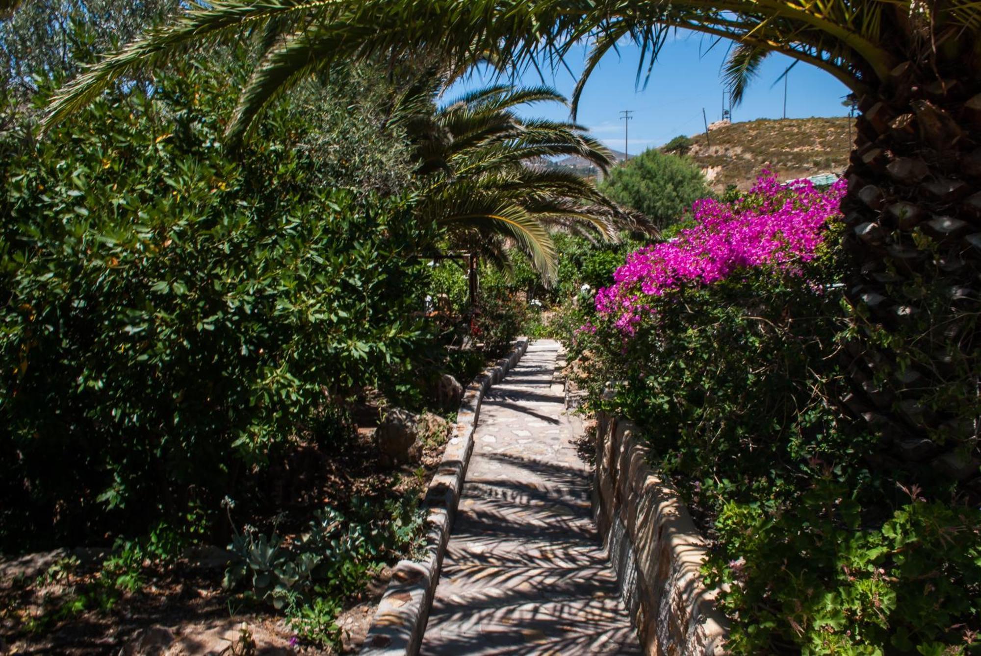 Patmos Mathios Studios- Apartments Sapsila Dış mekan fotoğraf
